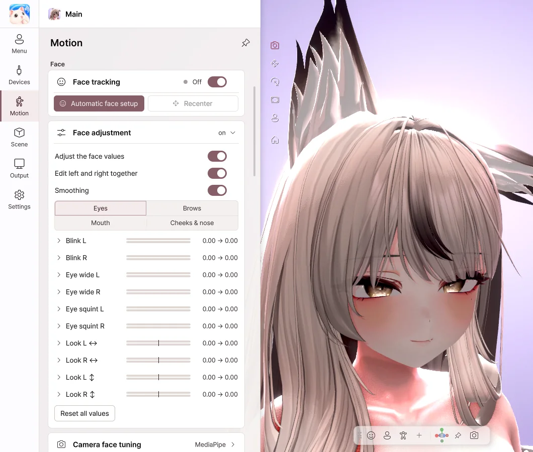 Face adjustment
